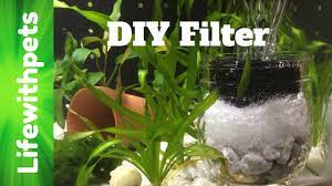 A diy filter holder that you can make for most camera lenses that will only cost you a few dollars and some time. How To Make A Diy Sponge Filter For A Betta Fish Tank Youtube