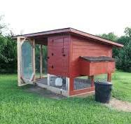 Cómo construir un gallinero: comparación entre kits de ...
