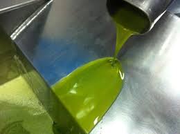 Aceite De Aceituna Verde Naciendo En La Almazara Zeytin