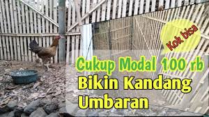 Beli kandang ayam bangkok online berkualitas dengan harga murah terbaru 2021 di tokopedia! Kok Bisa Kandang Ayam Umbaran Dari Bambu Murah Ekonomis Dan Simpel Youtube
