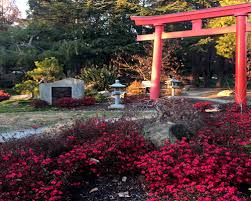 This 28mm piece will look great on your japanese themed table. The Torii Gate The Gardens At Lake Merritt