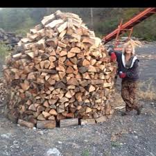 Image result for Turquoise 1958 Hotpoint