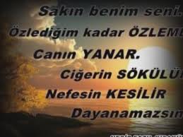 Anlamli Guzel Sozler 7531257 6020 1280x720 Jpg 960 720 Guzel Soz Ozlu Sozler Ilham Veren Sozler