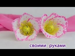 как сделать цветы из конфет и гофрированной бумаги видео Master Klass Cvety Iz Gofrirovannoj Bumagi Cvety Iz Konfet Youtube Flower Making Paper Candy Candy Flowers