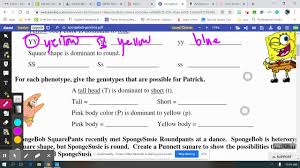 Maybe you would like to learn more about one of these? Spongebob Genetics Youtube