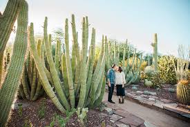 Find 6 listings related to desert botanical garden in scottsdale on yp.com. Desert Botanical Gardens Engagement Session Arizona Wedding Photographer Rachael Koscica Photography