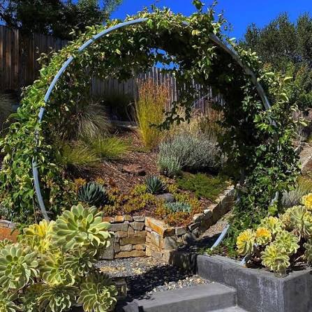 Passion flower moon gate