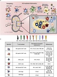 Image result for HIV Pathophysiology