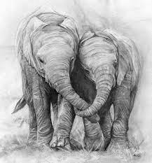 Elephants Pencil Drawing By Andream66 Via Flickr Pencil Drawings Of Nature Pencil Drawings Elephant Drawing