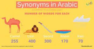 For example, the 100 most frequently used words in english writing make up about 25% of all english writing. The Beauty Of The Arabic Language Fluent Arabic Classical Arabic Blog