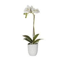 Sia Home Fashion Orchid Silk Orchids House Styles Plants