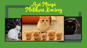 Maybe you would like to learn more about one of these? Arti Mimpi Melihat Kucing Lengkap Dari Masuk Rumah Sampai Mati Kanalmu