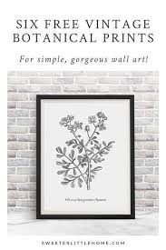 Printable Black And White Botanical Prints Free Printable Vintage Botanical Wall Art These Free Printables Feature Pictures Of Medicinal Pl Floral Wall Art Botanical Wall Art Free Wall Art