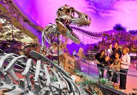 Children's museum of indianapolis (fr); Update Children S Museum Dino Project To Include Two Massive Jurassic Skeletons Indianapolis Business Journal