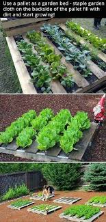 Diy Pallet Garden How To Build A Raised Vegetable Garden Bed 39 Simple Che In 2020 Vertical Vegetable Gardens Vegetable Garden Raised Beds Vegetable Garden Beds