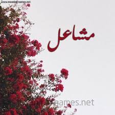 مشاعل شكل 18 صوره الورد الأحمر للإسم بخط رقعة كتابة على الورد 2021