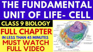What are the different components of cells? Fundamental Unit Of Life Cell Chapter 5 Class 9 Cbse Full Chapter Youtube