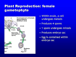 Check spelling or type a new query. Reproduction System Reproduction Systems In Plants Seed Propagated
