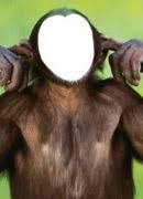 Insert face into another picture. Free Face On Hole Put Your Face On Another Body