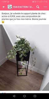 Epingle Par Boyer Sur Action Support Plante Plante Composition