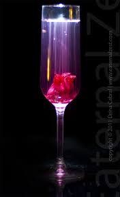 Sparkling Hibiscus Cocktail Hibiscus Cocktail Vodka Alcoholic Drinks