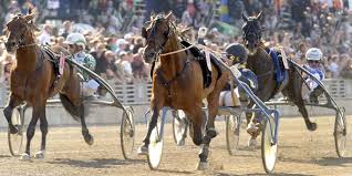 And there is no bigger race in sweden than the elitloppet, the world's biggest sprint race for older horses. Elitloppet 2021 Betting Predictions Gamingzion Gamingzion