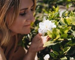 Team — Spa Sessions