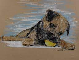 T shirts border terrier personalised t shirt dogs funny mens womens gift cool birthday 1visit4you; My Ball Drawing By Daniele Trottier