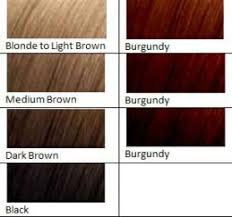 Burgundy Hair Dye Reddish Brown Hair Color Brown Hair