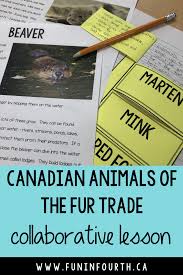 Fur Trade Canada Canadian Animals Of The Fur Trade In 2020 Canadian Social Studies Social Studies Classroom Elementary Education Activities