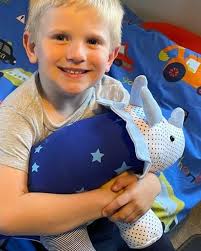 Meet the Funky Friends Factory Dinosaur toy patterns!