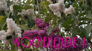 Pin Auf Schones Wochenende Fur Dich