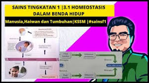 Ittv pt3 tingkatan 1 sains bab 8 cahaya dan optik (penambahan dan penolakan cahaya). Sains Tingkatan 1 3 1 Homeostasis Dalam Benda Hidup Kssm Sainst1 Youtube
