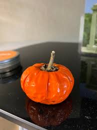 It is quite the conversation piece. Friend Let Me Steal A Mini Pumpkin From His Stick Of Pumpkins How Can I Grow My Own Plant From The Seeds Google Says To Wait Until 6 Weeks After Last