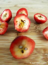 How To Tell When Crabapples Are Ripe Crab Apple Recipes Crab Apple Crab Apple Jelly