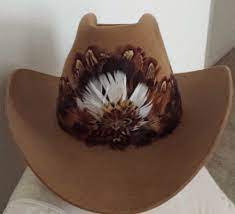 Feather In A Cowboy Hat 78e3f0