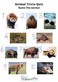 How many months have 28 days? 50 Animal Trivia Questions To Test Your Knowledge 2021
