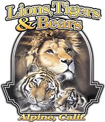 Lions Tigers And Bears Our Mission Lions Tigers Bears Is Dedicated To Providing A Safe Haven For Unwanted And Ab Lions Animal Sanctuary Wild In The Country