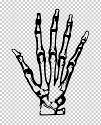 Human Skeleton Hand Png Anatomy Black And White Bone Carpal Bones Drawing Skeleton Hands Drawing Skeleton Hand Tattoo Easy Hand Drawings