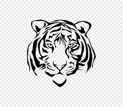 Pngdownload.id imej wikipedia calon gambar pilihan 2009 wikipedia bahasa melayu ini dipetik dari sumber berikut : Sketsa Gambar Harimau Putih Harimau Putih Mamalia Wajah Png Pngwing