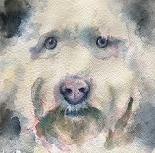 You don't have to be a drawing or painting expert to create a beautiful watercolor pet portrait. Tutorial How To Paint A Dog Portrait In Watercolour Ken Bromley Art Supplies