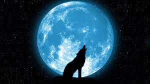 Wallpaper Night Sky Moon Wolf Stars Wolf Howling At The Moon Wolf Howling At Moon Animals Wolf Howling