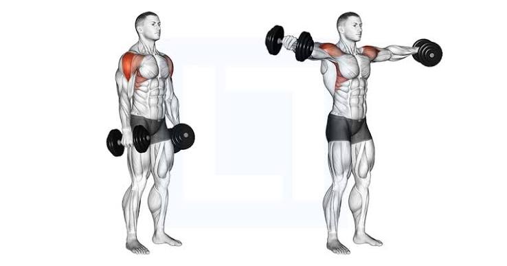 Lateral Raise