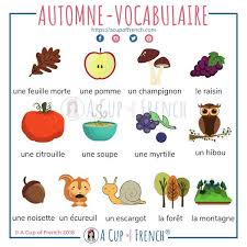 Autumn Is Here Bildungs Onderwijs Autumn Is Here Learn French French Flashcards French Language Lessons