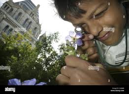 Open air laboratories network initiative hi-res stock photography and  images