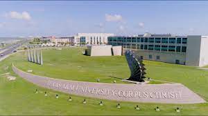 Last year, there were 8909 applicants and 31 percent of those who were accepted actually attended (enrollment rate). Discover Texas A M University Corpus Christi Youtube