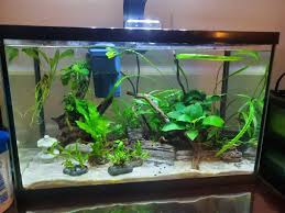 Aqueon Freshwater Aquarium Clip On Led Fixture Petco