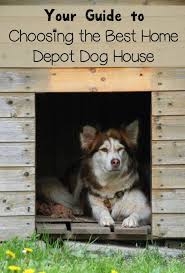 Buying A Home Depot Dog House Dogvills Dog House Dogs Best Small Dogs