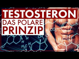 Allerdings ist es bei männern in deutlich. Testosteron Steigern 15 Testosteron Tipps Fur Mehr Sexappeal Potenz Und Mannlichkeit