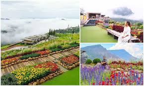Where To Eat In Khao Kho 22 Restaurants And Cafes To Eat At With Great Views Above The Clouds Great View Incredible Places